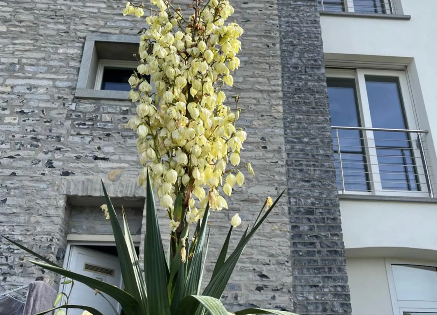 Penthouse - Villa Cardano Como Italy